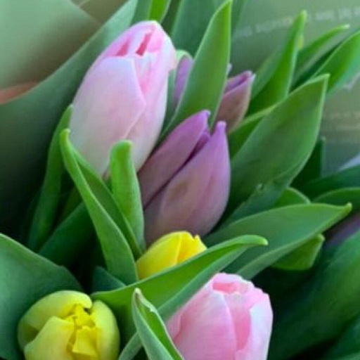 Букет из 25 разноцветных тюльпанов "Весеннее созвездие". Фото №5