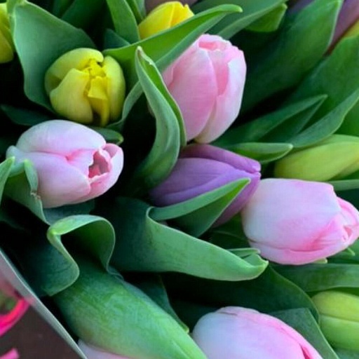 Букет из 25 разноцветных тюльпанов "Весеннее созвездие". Фото №4