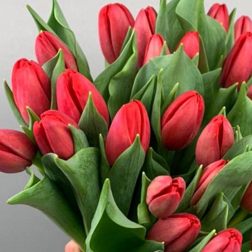 Букет из 35 красных тюльпанов "Весенний этюд". Фото №3